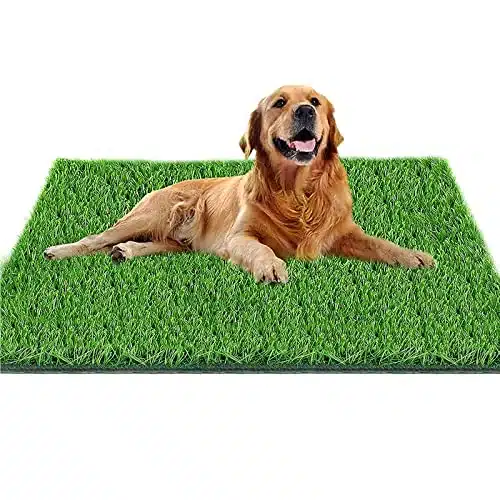 Fortune star Dog Pee Grass, in X in Dog Potty Grass, Artificial Grass for Dogs Suitable for IndoorOutdoor and Dog Potty Training ï¼Turf Dog Potty Easy to Clean and Use