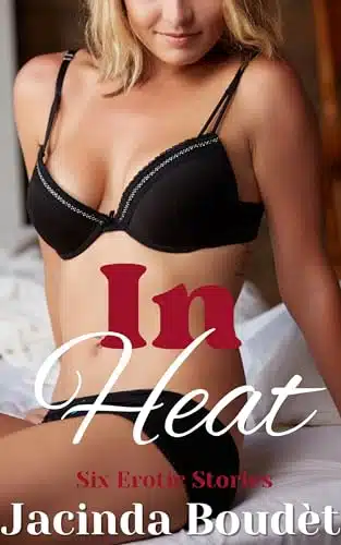 In Heat Six Erotic Stories (Kinky Sex Short Stories Collections Book )
