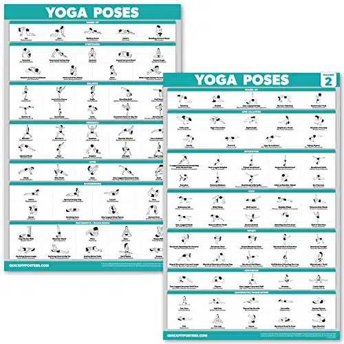QuickFit Pack   Yoga Poses Poster Set   Beginner Yoga Position Charts   Volume & (LAMINATED, x )
