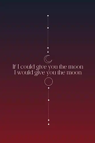 Moon Song Inspired Notebook   Phoebe Bridgers Punisher   Phoebe Bridgers