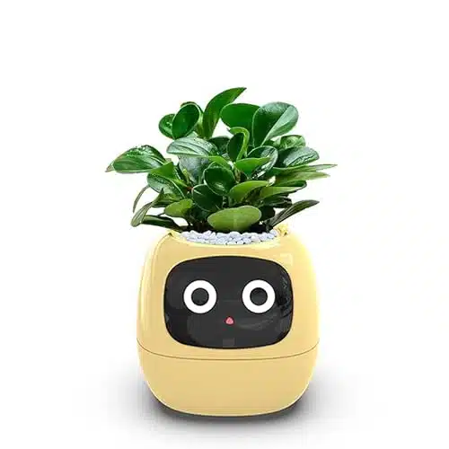 PLANTSIO Smart pet Planter Robot Guidance on Plant Care with Emojis, Adorable Plant Companion with Rich Gesture Interaction, Neat Desk Setup Gift (Yellow)
